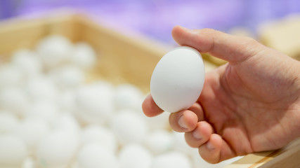 Fototapeta na wymiar Fresh white eggs