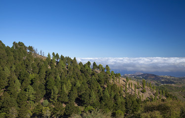 Central Gran Canaria