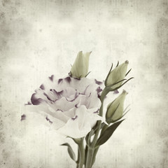 textured old paper background