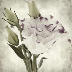 textured old paper background