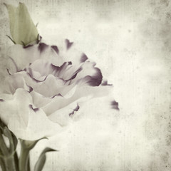 textured old paper background