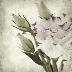 textured old paper background