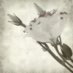 textured old paper background