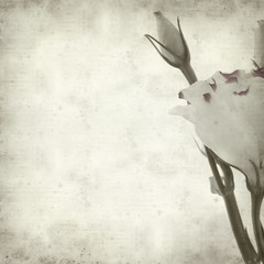 textured old paper background