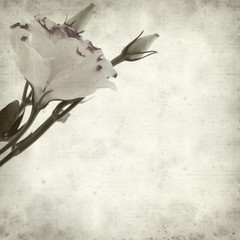 textured old paper background