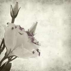 textured old paper background