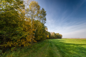 Jesień na Podlasiu © podlaski49