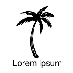 Coconut palm tree icon isolated, logo - 122402096