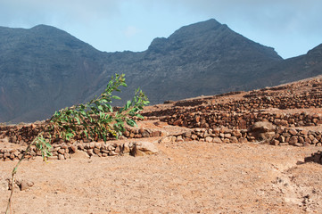 Fuerteventura, Isole Canarie: muretti a secco e la strada sterrata che porta a Cofete, una delle...