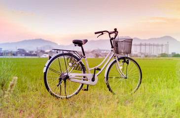 Fototapeta na wymiar Bicycle park beside rice field against evening light ,gradient e
