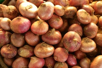 Set of many Shallots
