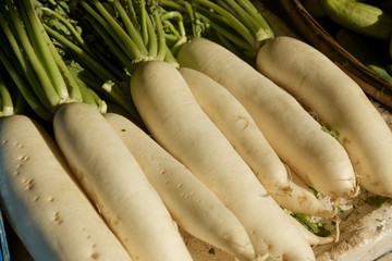 Daikon Radish on Threshing basket.