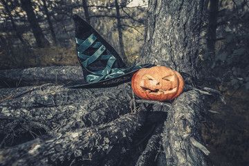 symbol of halloween, scarry jack pumpkin in witch hat, background