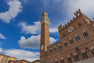 Fototapeta premium Piazza del Campo in Siena