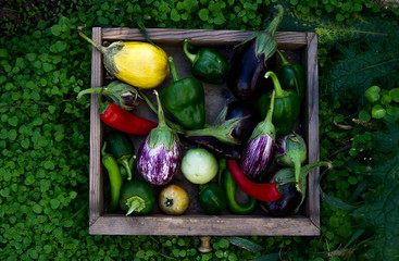last harvest