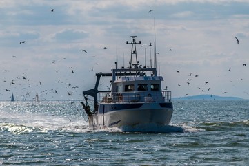 Retour de pêche d'un chalutier.