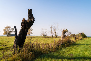 Jesień na Podlasiu © podlaski49