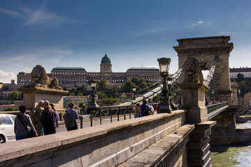 Fototapeta premium Budapest Chain bridge