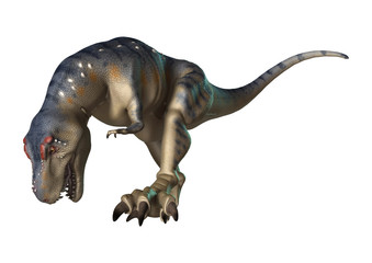 3D Rendering Dinosaur Tyrannosaurus on White
