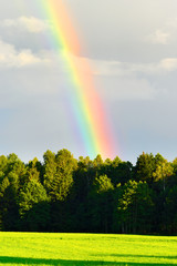 Rural landscape with beautiful rainbow after summer rainstorm over the forest. Woznawies, Podlaskie province, north-eastern Poland.