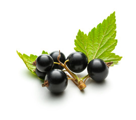 Fresh black currant with leaves