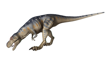 3D Rendering Dinosaur Tyrannosaurus on White