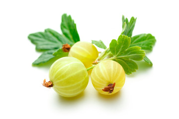 Fresh gooseberry with leaves