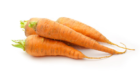 Fresh carrots