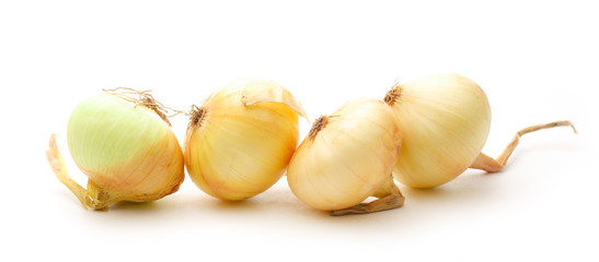 Fresh onion on the white background