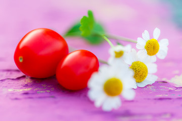 Camomile flowers and tomatoes