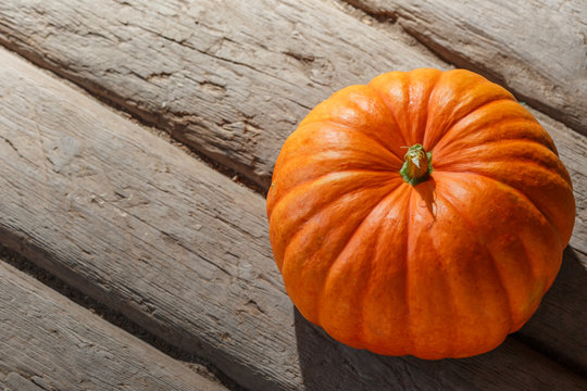 One big pumpkin on wooden background