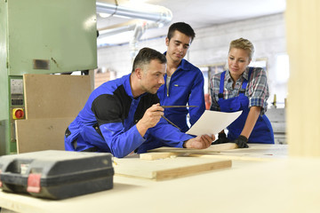 Students in woodwork training course with professional