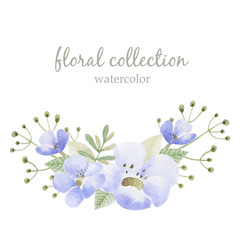 Watercolor illustration flower compositions