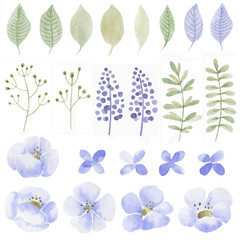 Watercolor set of flowers, leaves and plants