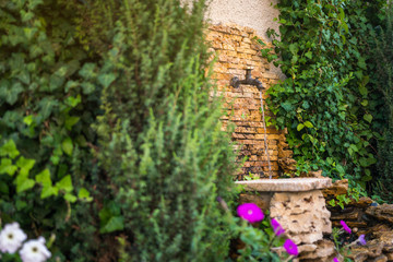 The crane in the yard of an Italian villa. Stone wall and ivy