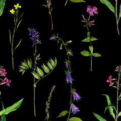 Fototapeta na wymiar seamless pattern with watercolor drawing flowers