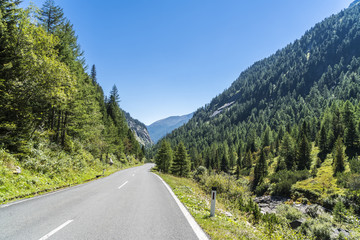 Fototapeta na wymiar Landstraße in den Alpen zwischen Bergen und Wäldern