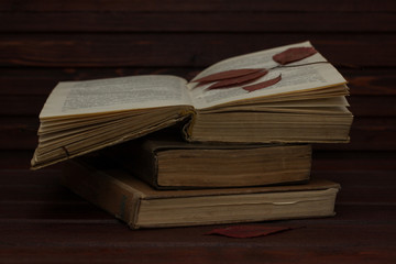 Old books with red dry leaves