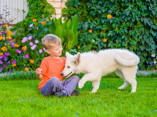 White Swiss Shepherd`s puppy and kid playing together on green grass.