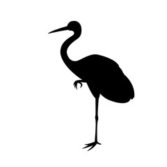 bird crane vector illustration  black silhouette