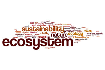 Eco system word cloud