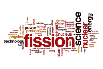 Fission word cloud