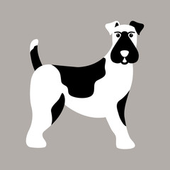 fox terrier vector illustration style Flat