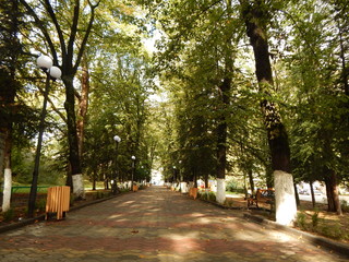 Пешеходная улица в Боржоми