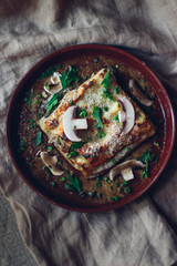 Italian food style. Lasagna