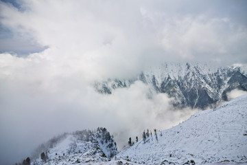 Fototapeta na wymiar Snow cloud covers the mountain peaks and trees