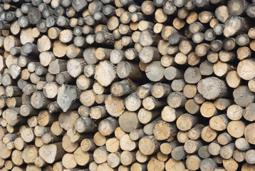 sawmill background yard wood stack lumber logs construction industry