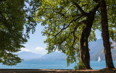 Voilier sur le lac du Bourget, Savoie