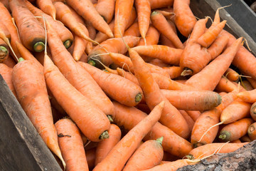 Jumble of Carrots at a farmer's market