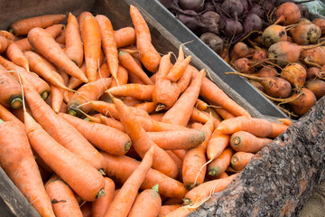 Carrots, beets and turnips at a farmer's market